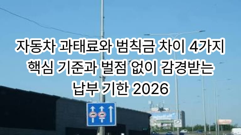 자동차 과태료와 범칙금 차이 4가지 핵심 기준과 벌점 없이 감경받는 납부 기한 안내 대표 이미지